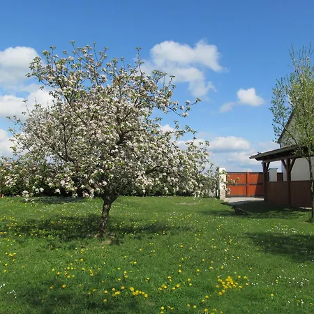 公寓 奥特维克膳食公寓酒店