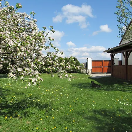公寓 奥特维克膳食公寓酒店