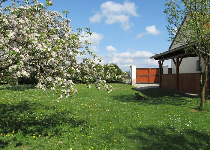 Lägenhet Otevek